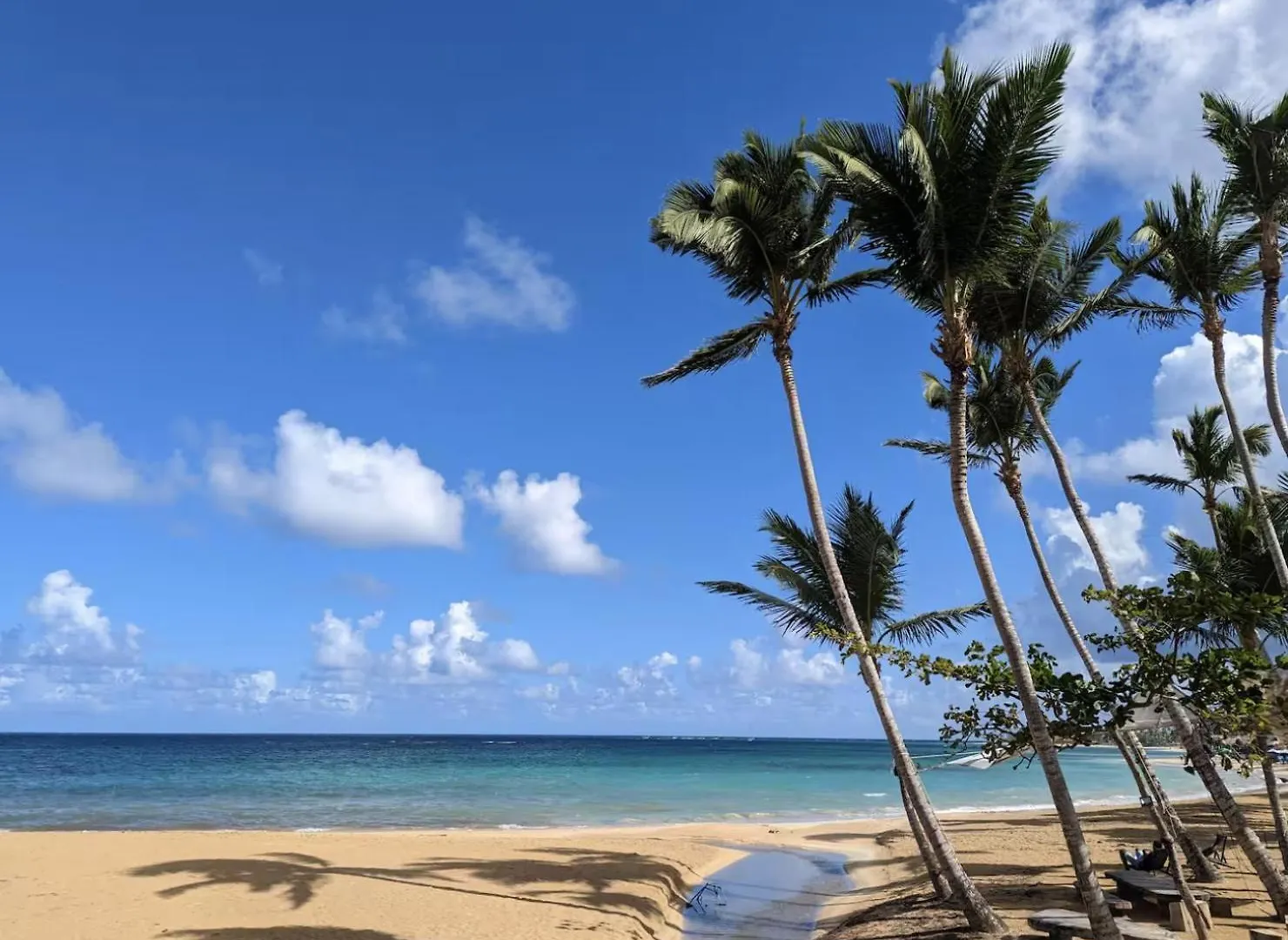 דירה Luxury 2 Bedroom Apartment, 1 Min Walk To Punta Popy Beach, Pool, Ac, Fast Wifi, לאס טרנאס